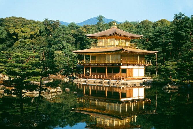 Osaka Castle & Samurai History Walking Tour - Walking conditions, timing, and the end point