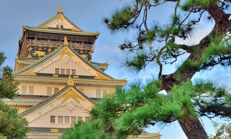 Osaka Castle Ticket - The Toyotomi Ishigaki Museum adds useful context