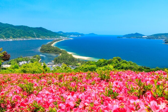 Osaka Day Tour: Amanohashidate & Ine Bay - Key points to know before booking