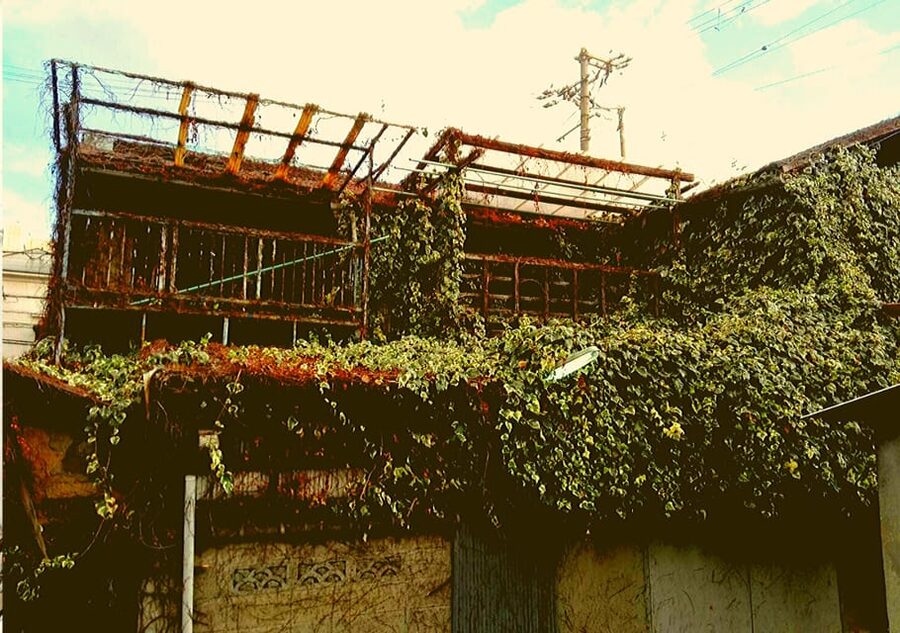 Osaka: Deep Backstreets Walking Tour with Dinner Option - Key Points Before You Book