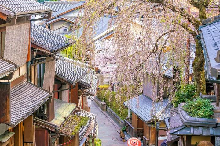 Osaka Discovery 4 Days - Universal Fun & Kyoto Heritage by Vio Travel Review - A four-day Kansai sampler, with Osaka as your base