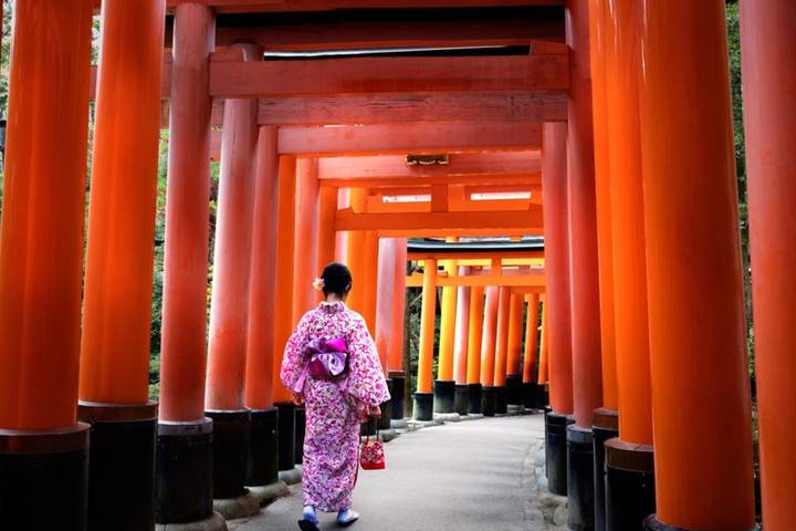 Osaka Discovery 4 Days - Universal Fun & Kyoto Heritage by Vio Travel Review - What the $823 starting price does, and does not, cover