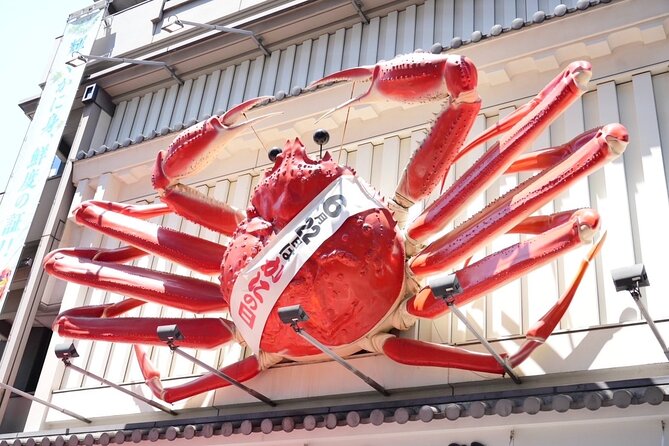 Osaka Early Morning Tour with English-Speaking Guide Dotonbori - Why this four-hour route works well