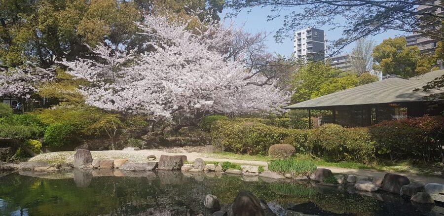 Osaka: Full-Day Sightseeing Tour by Private Vehicle - Shinsekai shows Osaka’s playful side