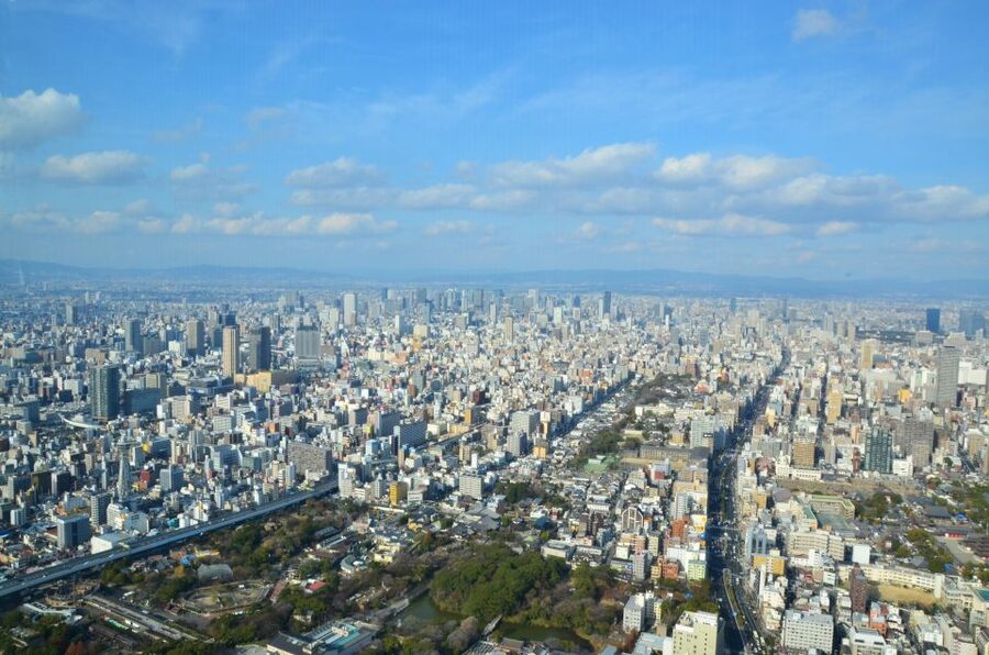 Osaka: Full-Day Sightseeing Tour by Private Vehicle - Lunch is flexible, but you should discuss it early