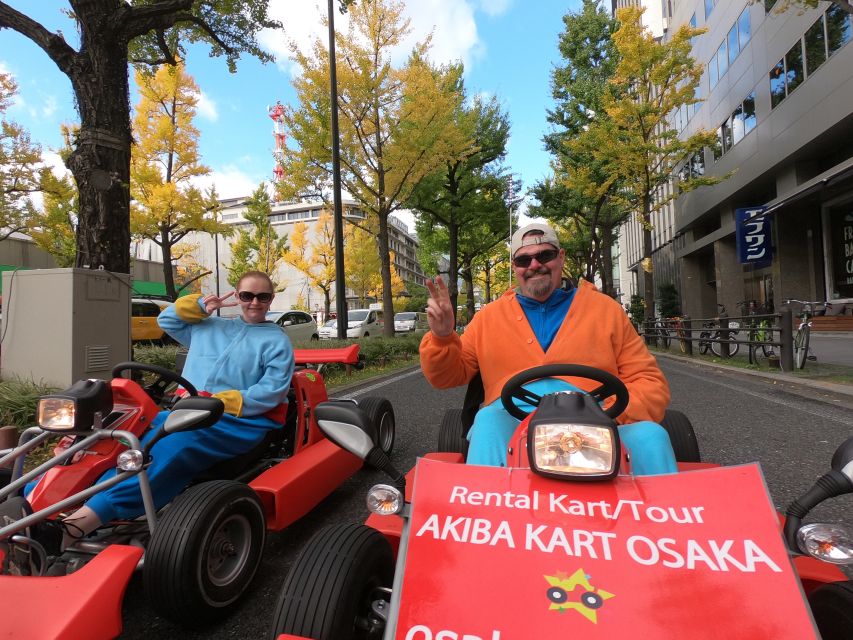 Osaka: Guided Go Karting Tour in a Funny Costume - One hour for $45: a fair deal, with one warning