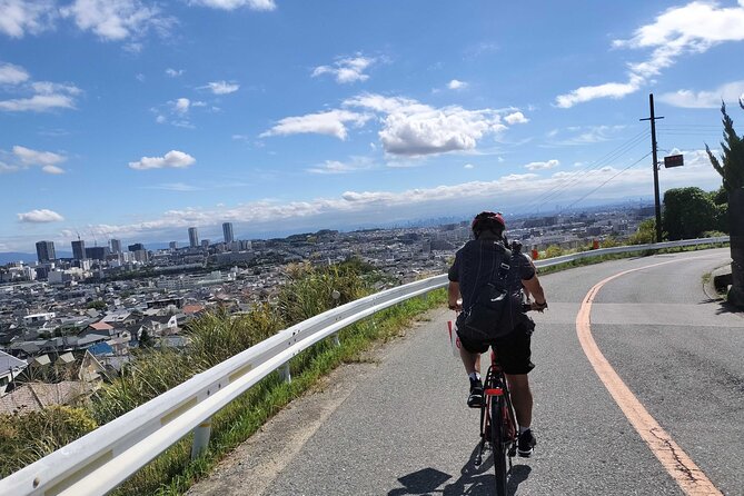 Osaka Half-day E-bike Adventure: Minoh Falls & Katsuoji Temple - Key points to know before booking
