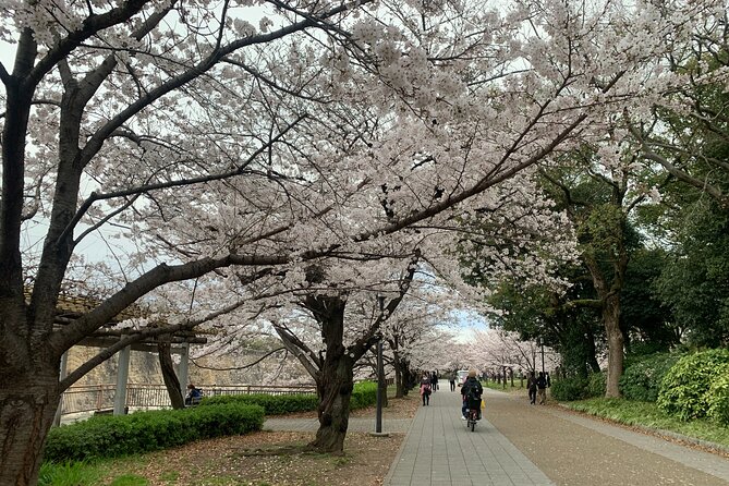 Osaka Highlights: 4Hrs Guided Walking Tour with a Native Expert - A short stop at Hokoku Shrine