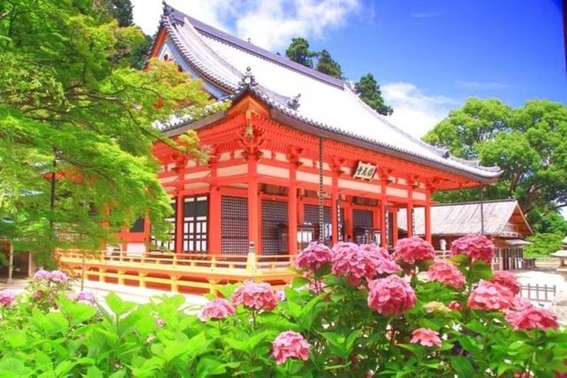 Osaka: Katsuo-ji Temple - What to Know Before You Go