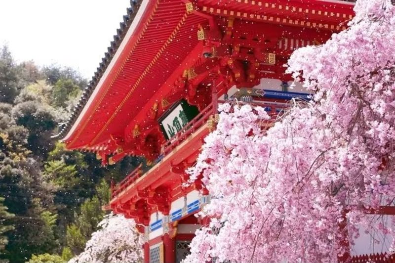 Osaka: Katsuo-ji Temple - Getting There from Osaka