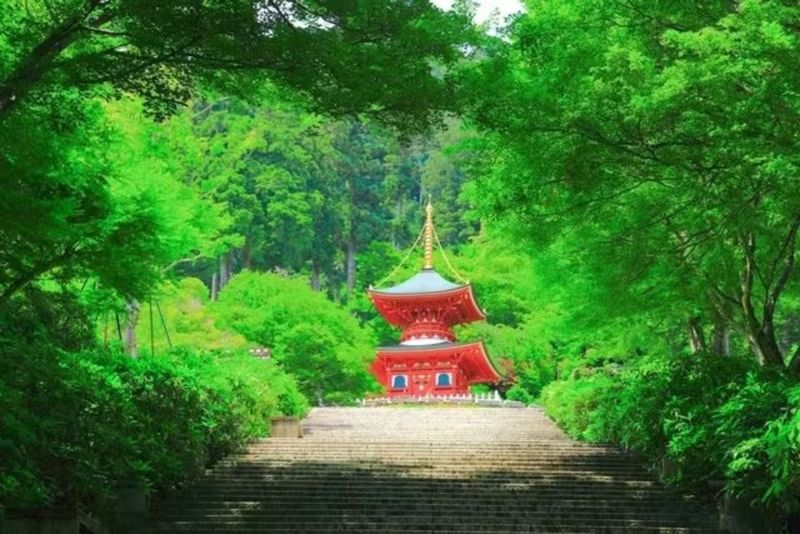 Osaka: Katsuo-ji Temple - Who Will Enjoy Katsuo-ji Most?