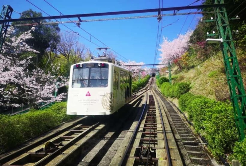Osaka/Kyoto: Amanohashidate & Miyama Tour with Boat & Lunch - What the guides add to a long day