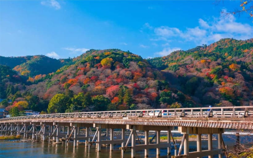 Osaka: Kyoto and Nara Private Day Trip - Fushimi Inari’s vermillion torii gates