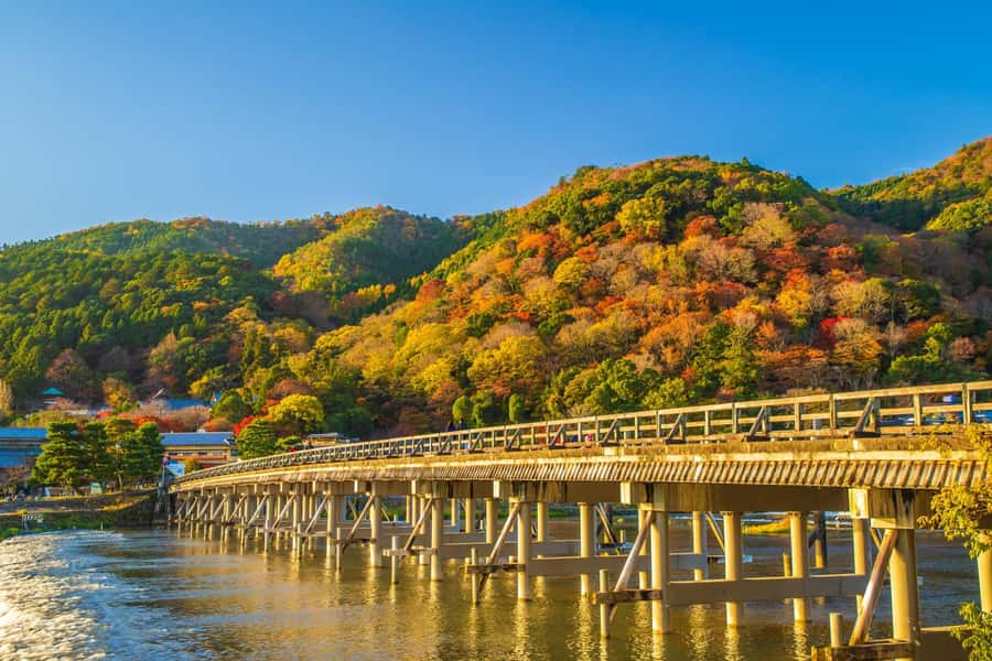 Osaka/Kyoto: Arashiyama, Nara & Fushimi Inari Shrine w/Lunch - Nara Park and Todai-ji: deer, Buddha, and open space