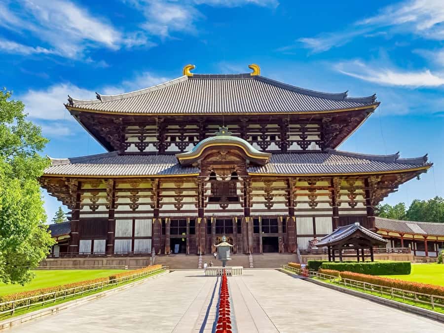 Osaka/Kyoto: Arashiyama, Nara & Fushimi Inari Shrine w/Lunch - What $61 really buys you