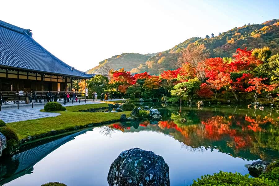 Osaka/Kyoto: Arashiyama, Nara & Fushimi Inari Shrine w/Lunch - Who should book this tour?