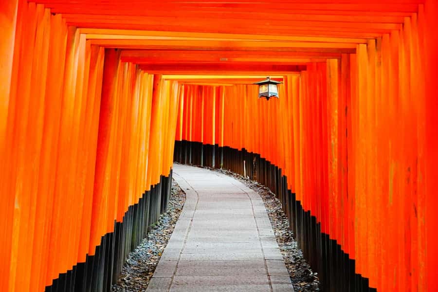 Osaka/Kyoto: Arashiyama, Nara & Fushimi Inari Shrine w/Lunch - Arashiyama Bamboo Forest: beautiful, brief, and busy