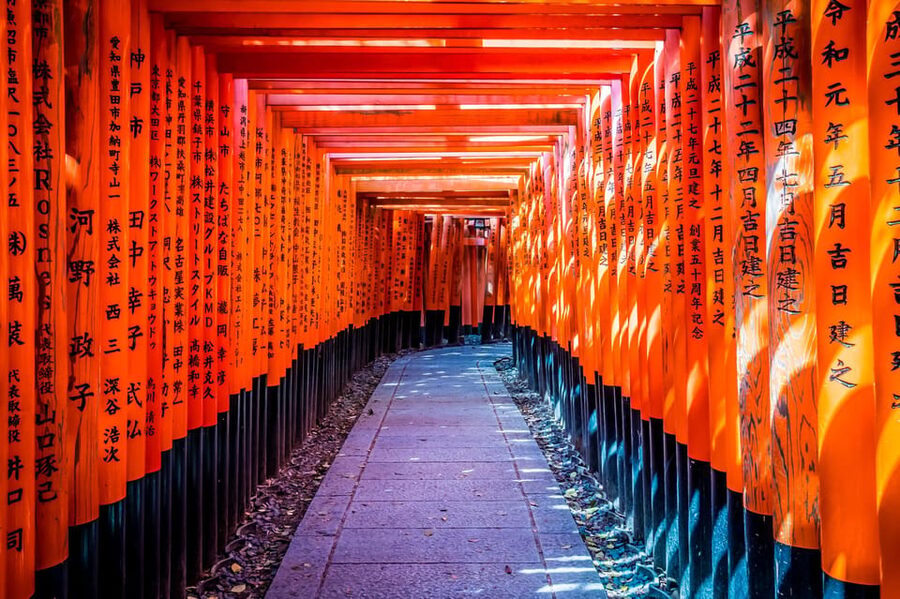 Osaka/Kyoto: Arashiyama, Nara Park, Fushimi Shrine Tour - How the Osaka and Kyoto schedule works