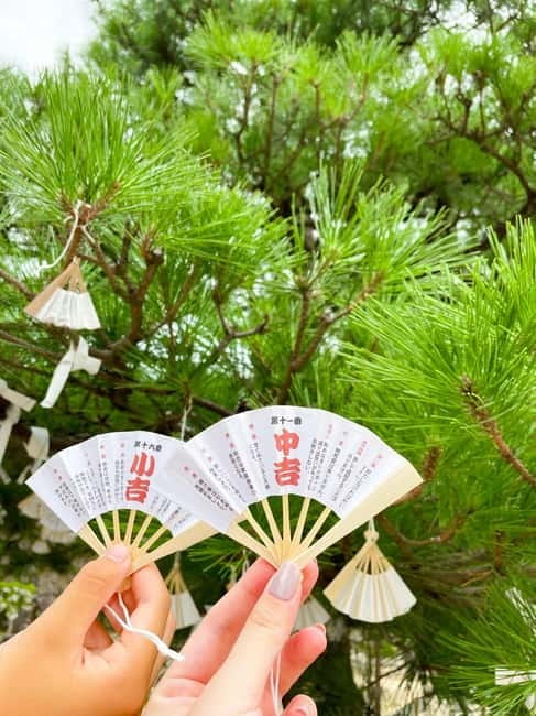 Osaka: Kyoto By The Sea with Amanohashidate & Ine no Funaya - Amanohashidate Beach on foot or by bicycle