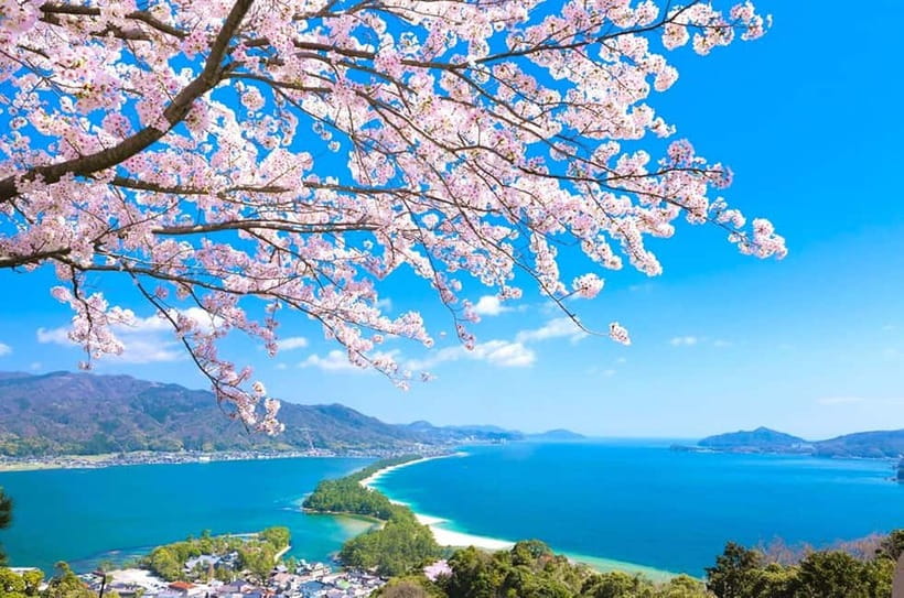 Osaka: Kyoto By The Sea with Amanohashidate & Ine no Funaya - Ine no Funaya, a village built over the water
