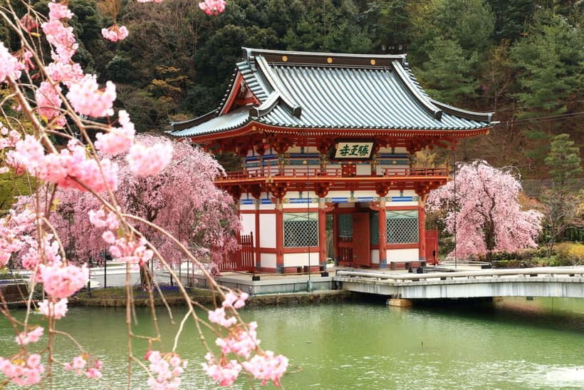 Osaka/Kyoto: Katsuoji, Kinkakuji, Arashiyama 1-Day Bus Tour - Key points to know before booking