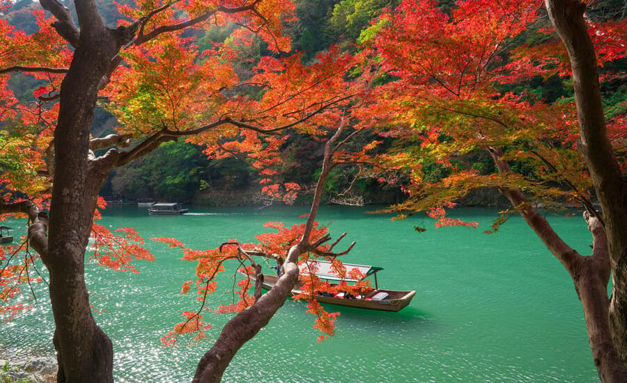 Osaka/Kyoto: Katsuoji, Kinkakuji, Arashiyama 1-Day Bus Tour - What the bus and guide add