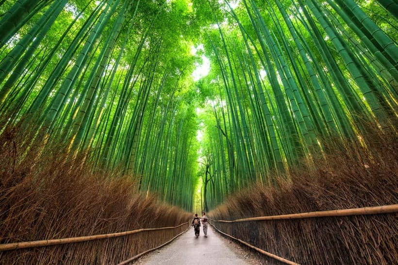 Osaka/Kyoto: Katsuoji, Kinkakuji, Arashiyama 1-Day Bus Tour - Is $56 a good value?