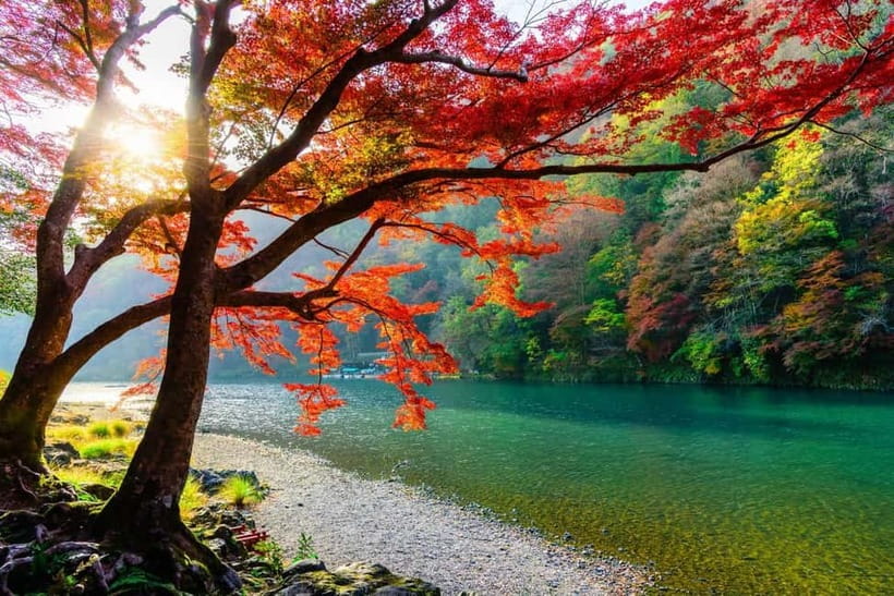 Osaka/Kyoto: Katsuoji, Kinkakuji, Arashiyama 1-Day Bus Tour - Who will enjoy this tour most