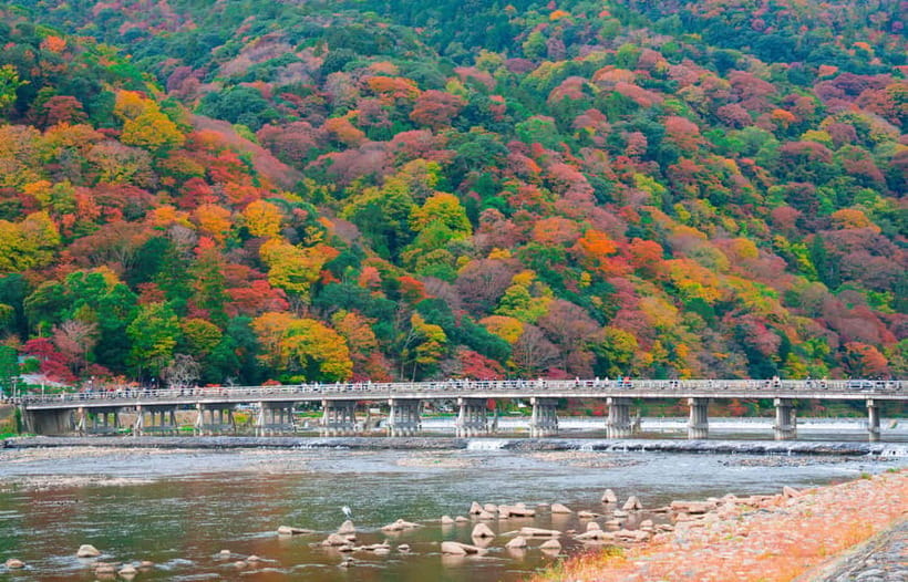 Osaka/Kyoto: Katsuoji, Kinkakuji, Arashiyama 1-Day Bus Tour - Should you book the Katsuoji, Arashiyama, and Kinkakuji tour?