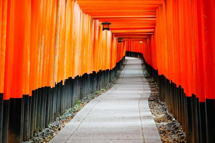 Osaka/Kyoto:Kinkakuji,Arashiyama,FushimiInariShrine,NaraPark - Four reasons this day trip works