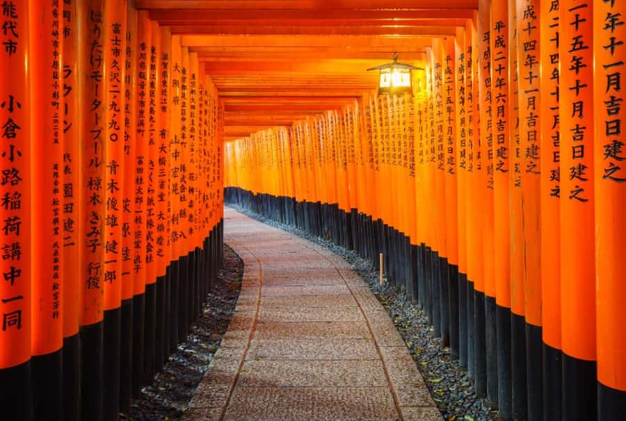 Osaka/Kyoto:Kinkakuji,Arashiyama,FushimiInariShrine,NaraPark - Starting from Osaka or Kyoto