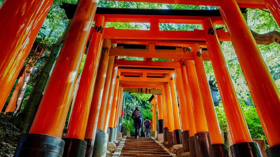 Osaka/Kyoto:Kinkakuji,Arashiyama,FushimiInariShrine,NaraPark - Nara Park and Todai-ji: deer, scale, and a temple giant