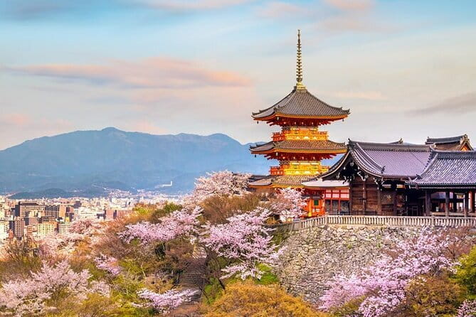 Osaka & Kyoto & Nara Top Hightlights English Speaking Tour - The five details that shape your day