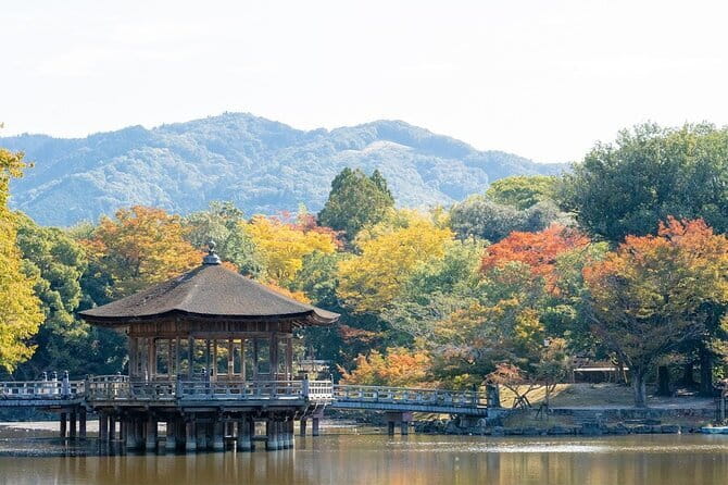Osaka & Kyoto & Nara Top Hightlights English Speaking Tour - Todaiji and the Great Buddha