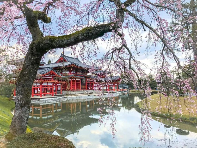 Osaka: Kyoto & Nara & Uji Historical and Scenic One-Day Tour - Key points to know before booking