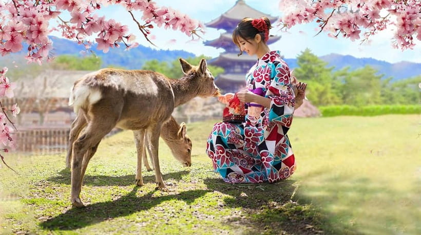 Osaka: Kyoto & Nara & Uji Historical and Scenic One-Day Tour - Transport, meeting points, and the pace of the day