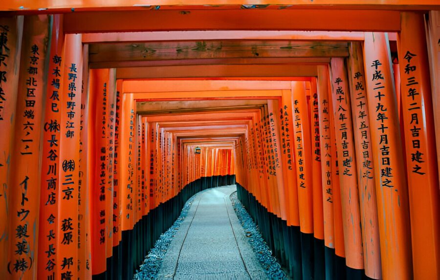 Osaka/Kyoto: Private Kyoto and Nara Day Trip - Nara Park, deer, and a little practical caution