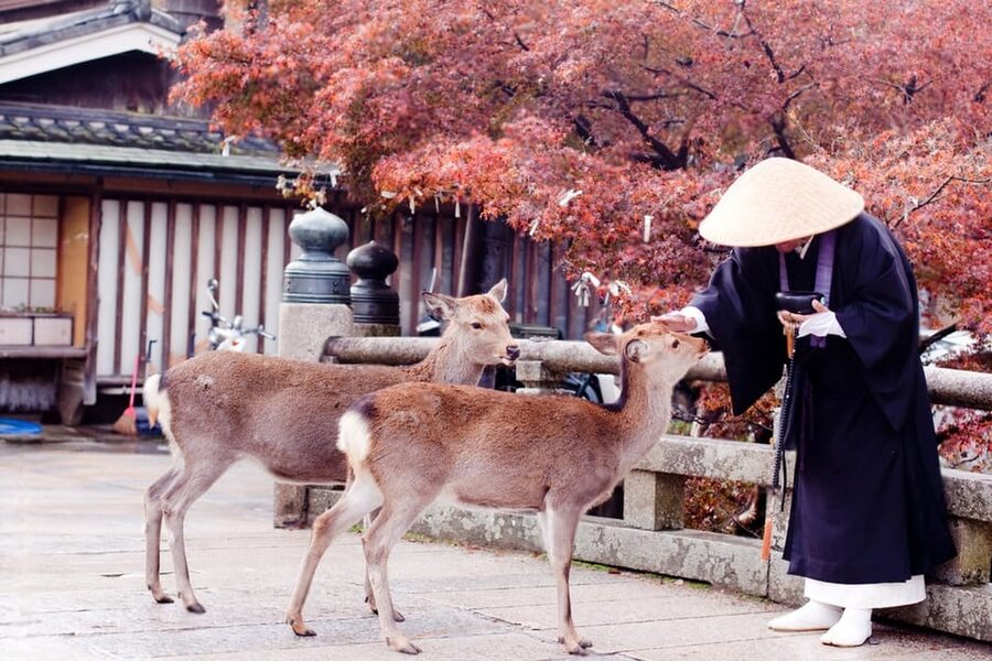 Osaka/Kyoto: Private Kyoto and Nara Day Trip - Tōdai-ji, the stop that deserves serious time