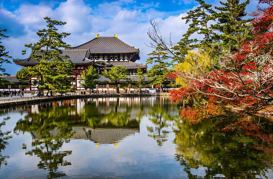Osaka/Kyoto: Private Kyoto and Nara Day Trip - How good is the private transport?