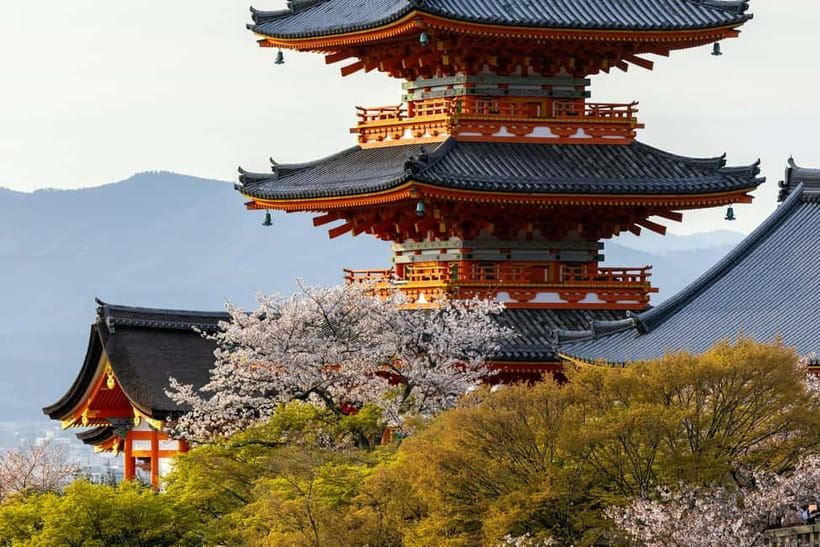 Osaka: Kyoto & Uji Historical Sites and Scenic Delights Tour - Key points to know before booking