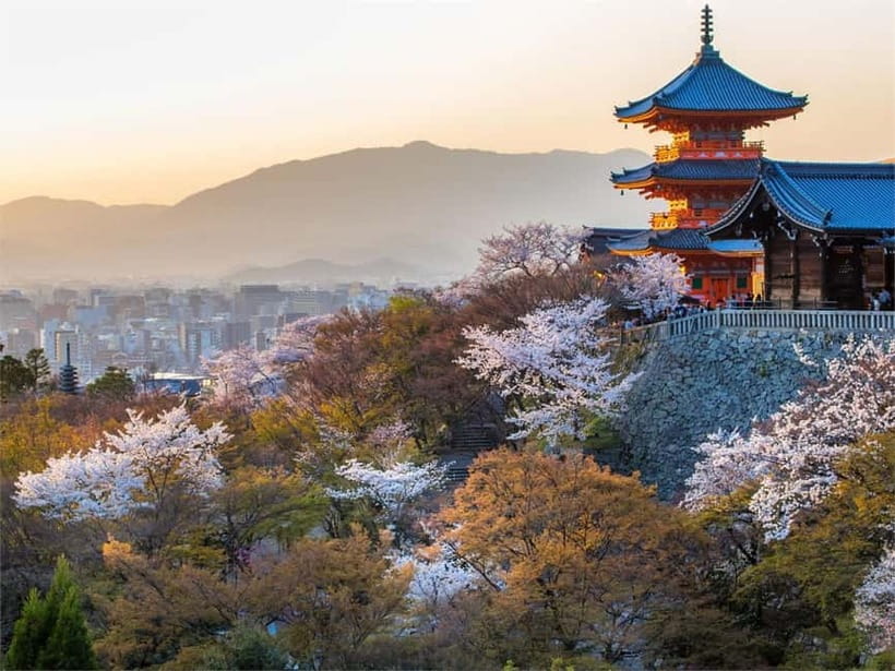 Osaka: Kyoto & Uji Historical Sites and Scenic Delights Tour - Uji River, Uji Shrine, and the town’s tea identity