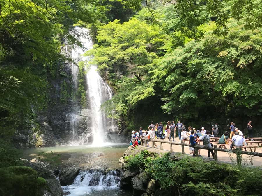 Osaka: Mino Forest Walk and Giant Waterfall with Local Lunch - Meeting at JR Osaka Station Without Getting Lost