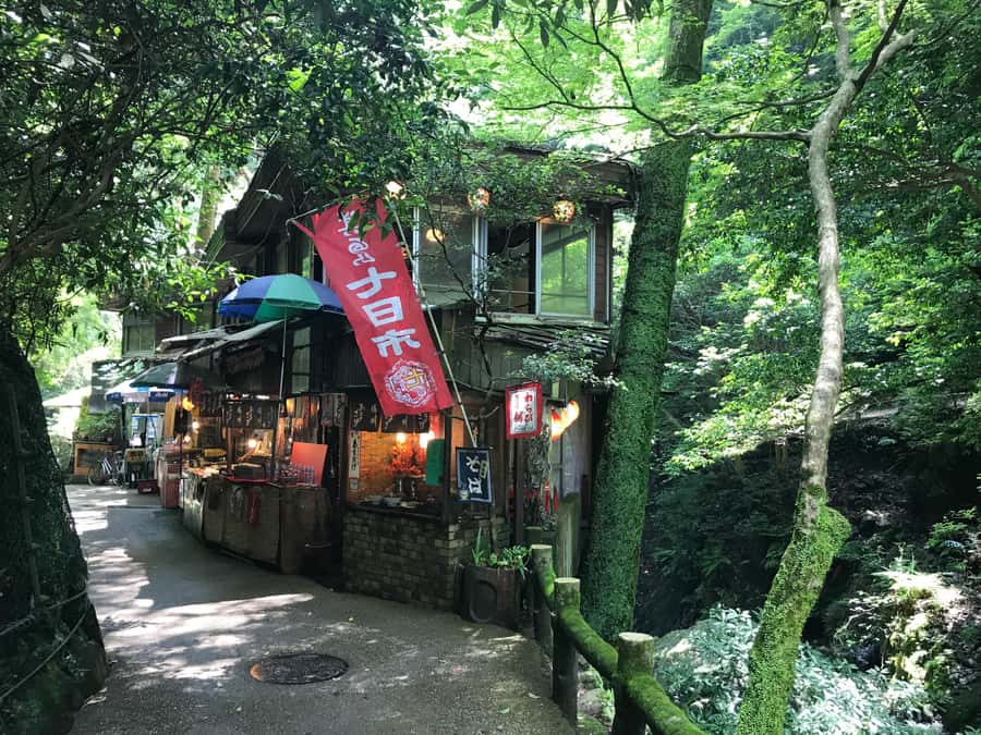 Osaka: Mino Forest Walk and Giant Waterfall with Local Lunch - Guides Who Make the Day Feel Personal