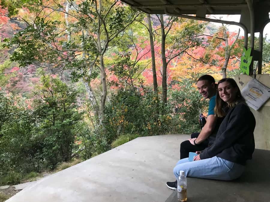Osaka: Mino Forest Walk and Giant Waterfall with Local Lunch - What the $79 Price Really Covers