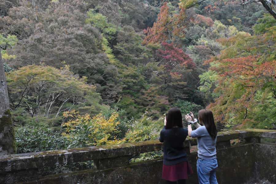 Osaka: Mino Forest Walk and Giant Waterfall with Local Lunch - Practical Tips for a Smoother Day