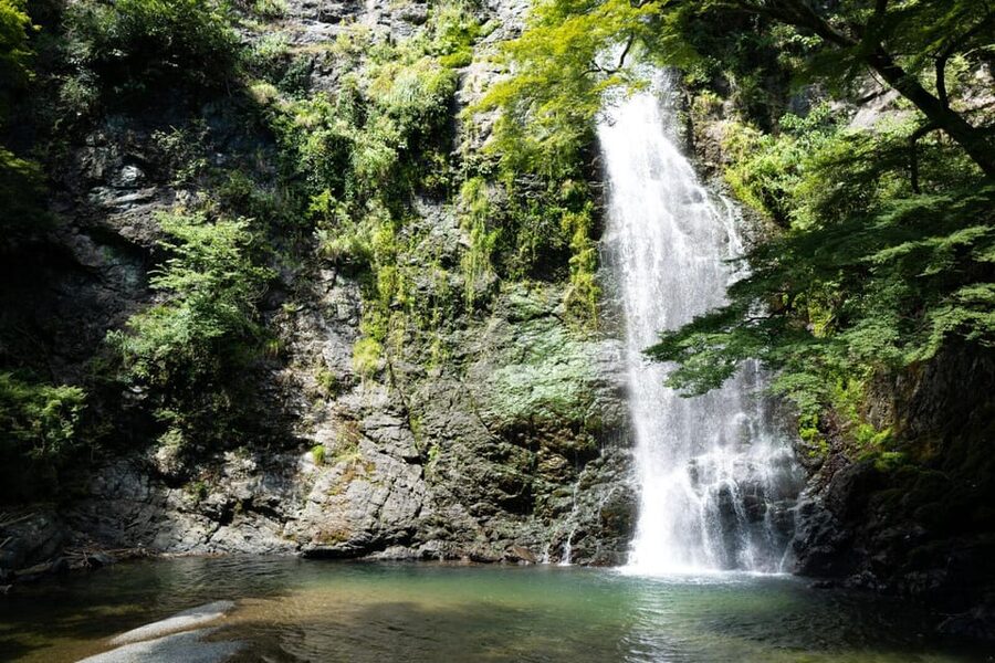Osaka: Minoh, Katsuoji Temple, & Minoh Falls Full-day Tour - What $135 includes, and what it does not