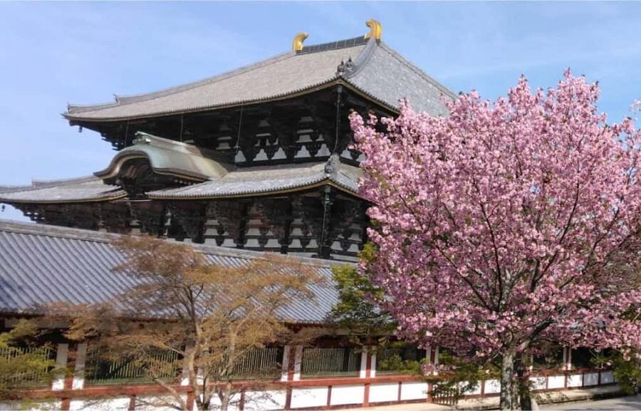 Osaka: Nara and Uji Day Trip with Deer Park and Hot Spring - Todai-ji and the Great Buddha