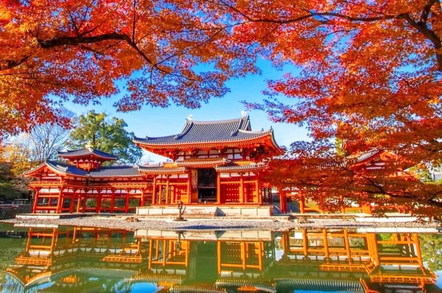 Osaka: Nara and Uji Day Trip with Deer Park and Hot Spring - Feeding deer in Nara Park