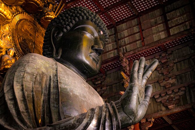 Osaka & Nara in 1-Day by Private Van with Local Expert Guide - What Makes This Tour Worth Considering