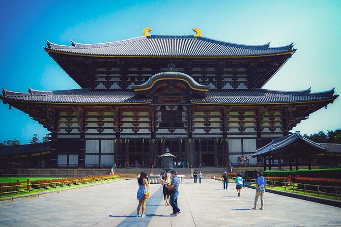Osaka & Nara in 1-Day by Private Van with Local Expert Guide - Nara Park and Todaiji: The Strongest First Chapter